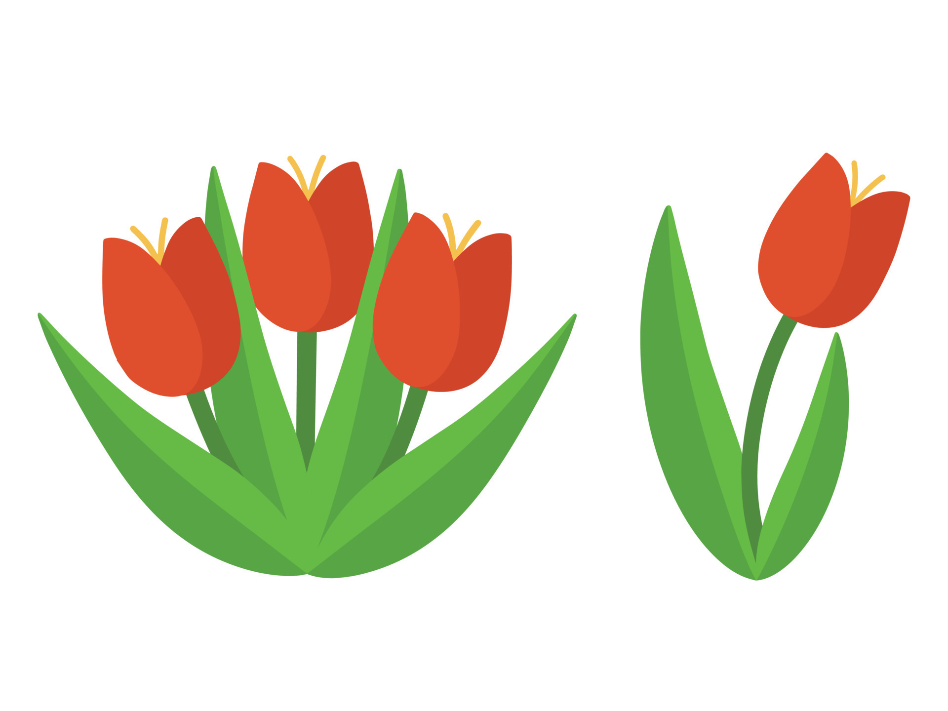 Set of red vector tulips. Illustration of a cute cartoon red tulip ...