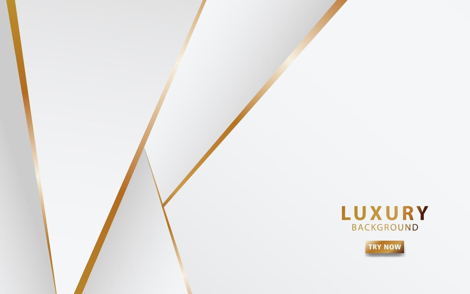 modern white abstract background with golden line vector