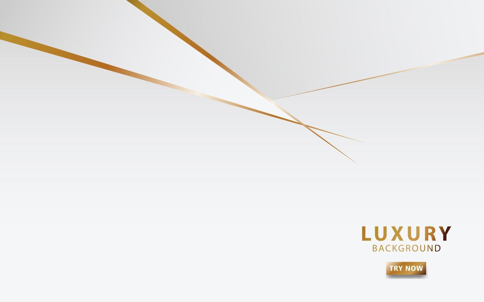 modern white abstract background with golden line vector