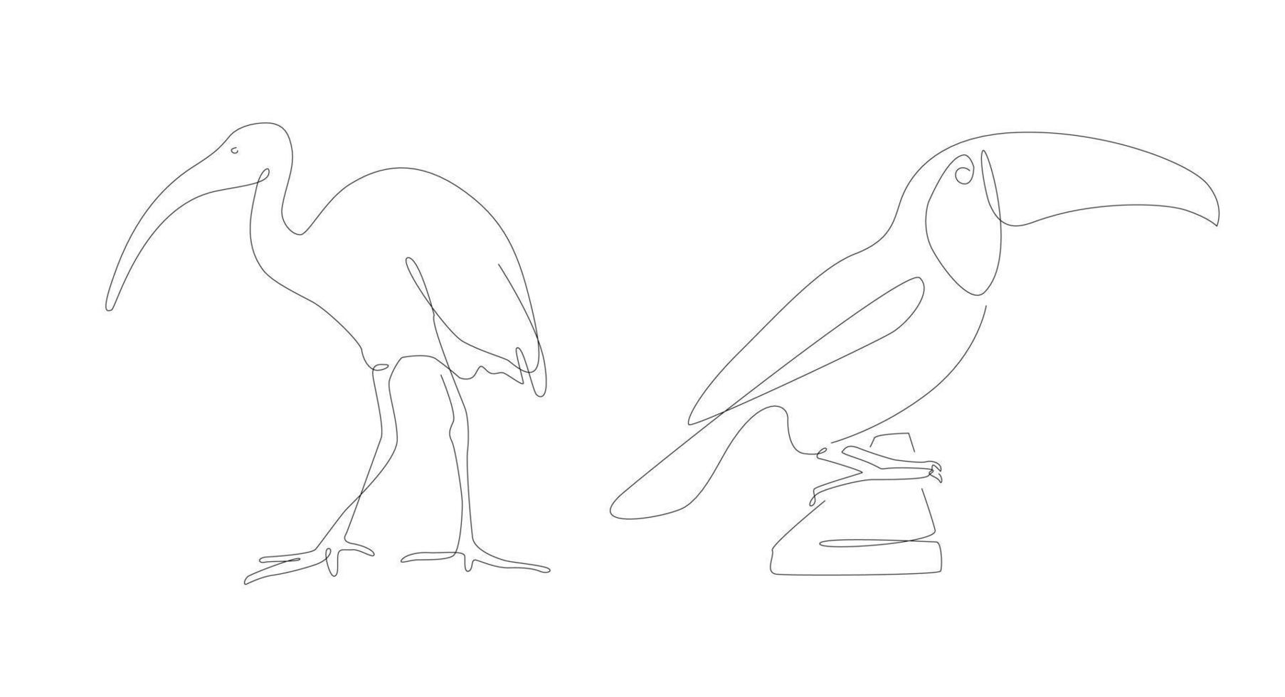 isan y pelícano uno línea Arte. raro pájaro soltero lineal Arte. vector ilustración. aves describir.
