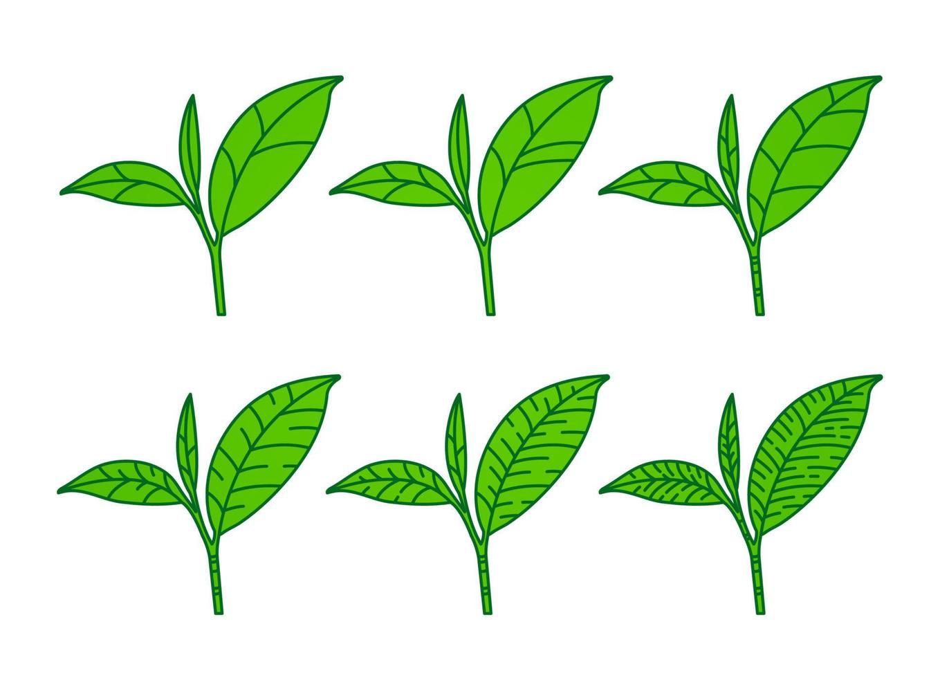 Premium green tea for good health vector illustration.