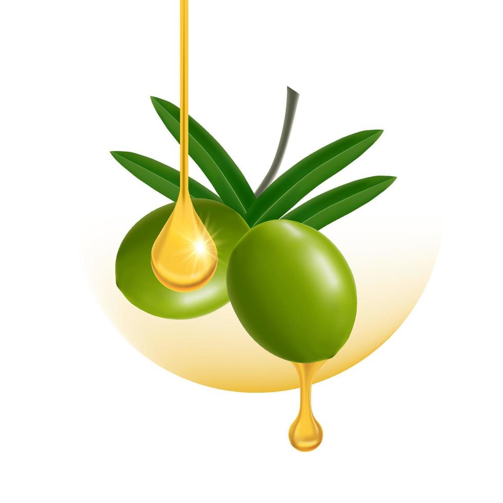 aceituna belleza y cosmético elegante ilustración. vector