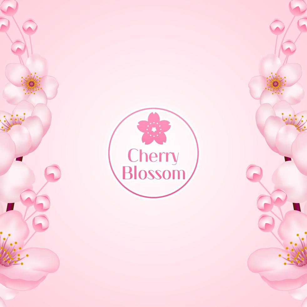 Cherry blossom, sakura branch with pink flowers illustration. vector