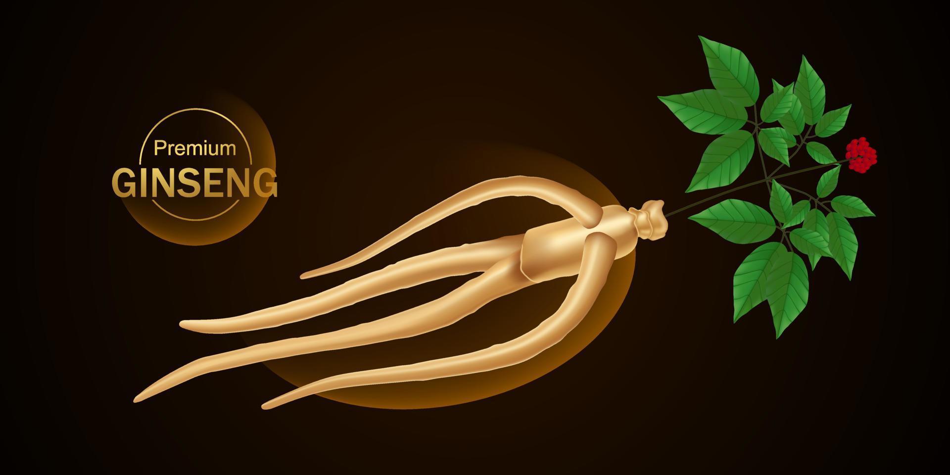 Premium ginseng vector illustration