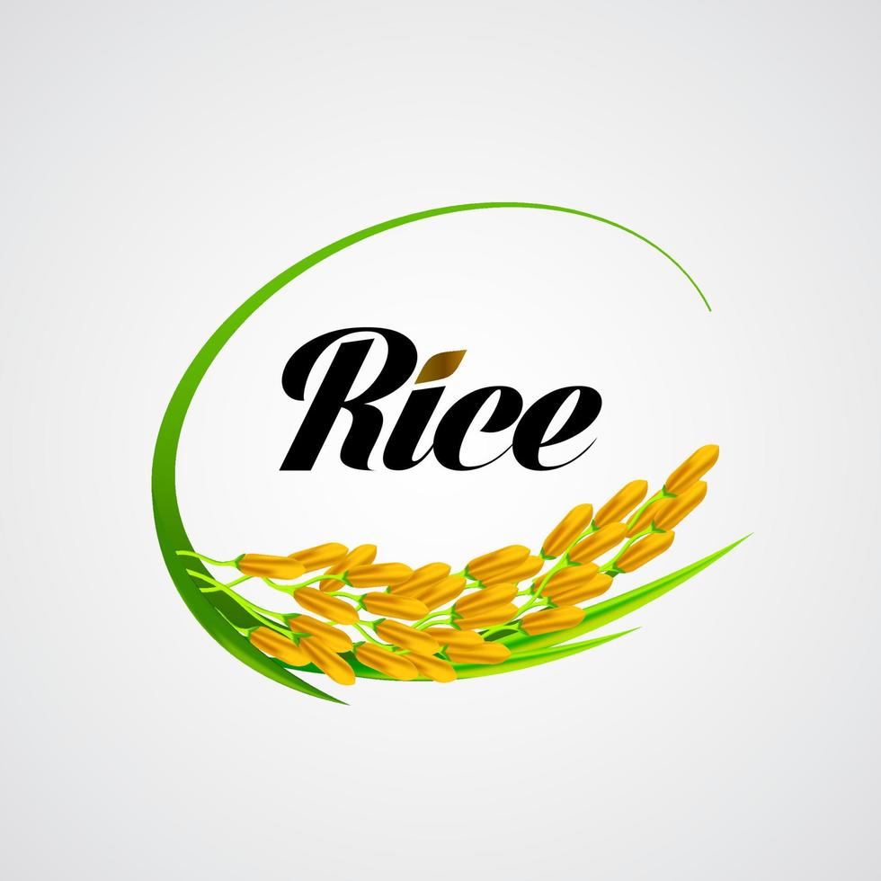 Premium Rice great quality design concept  vector. vector