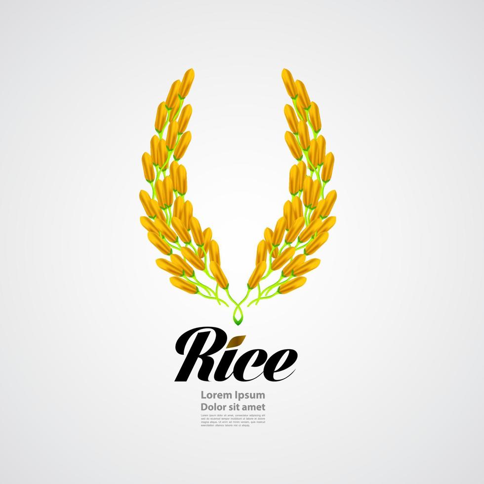 prima arroz genial calidad diseño concepto vector. vector