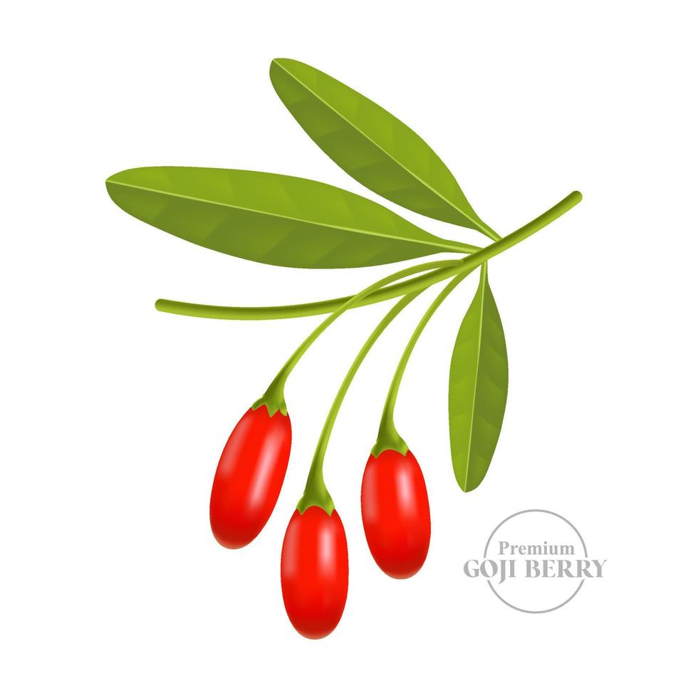 Goji berry serum for skin care package illustration vector