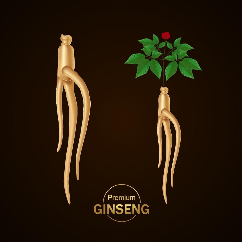 Premium ginseng vector illustration