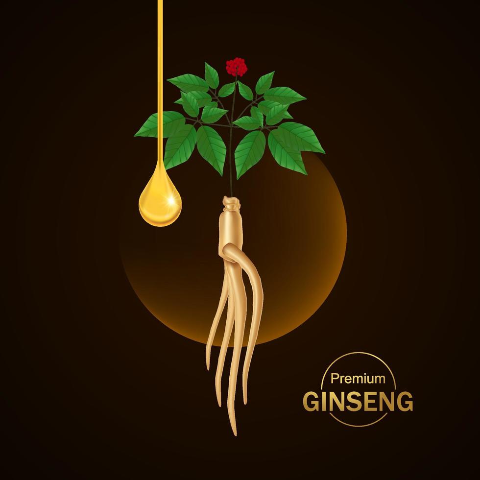 Premium ginseng vector illustration