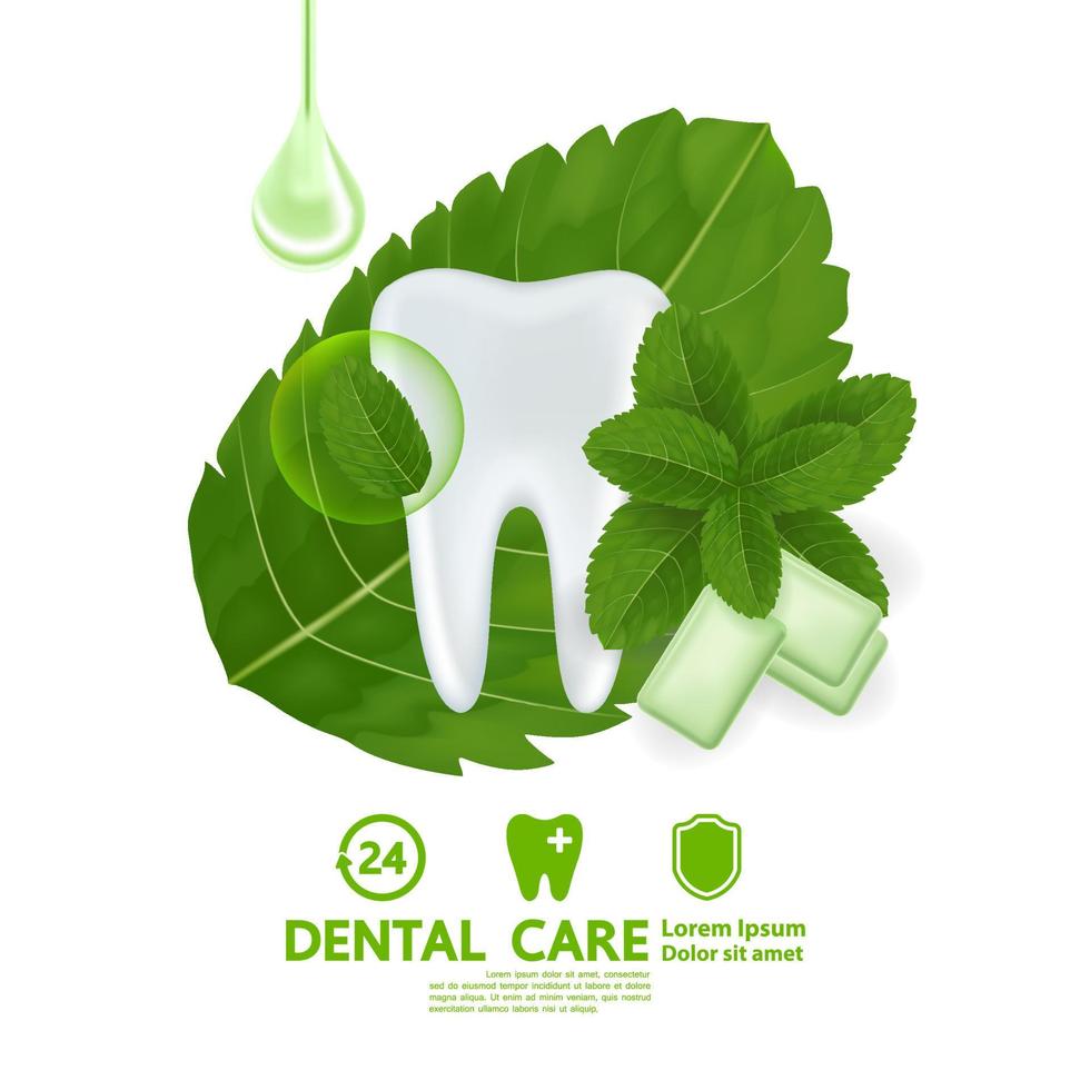 Dental care with peppermint leaf vector