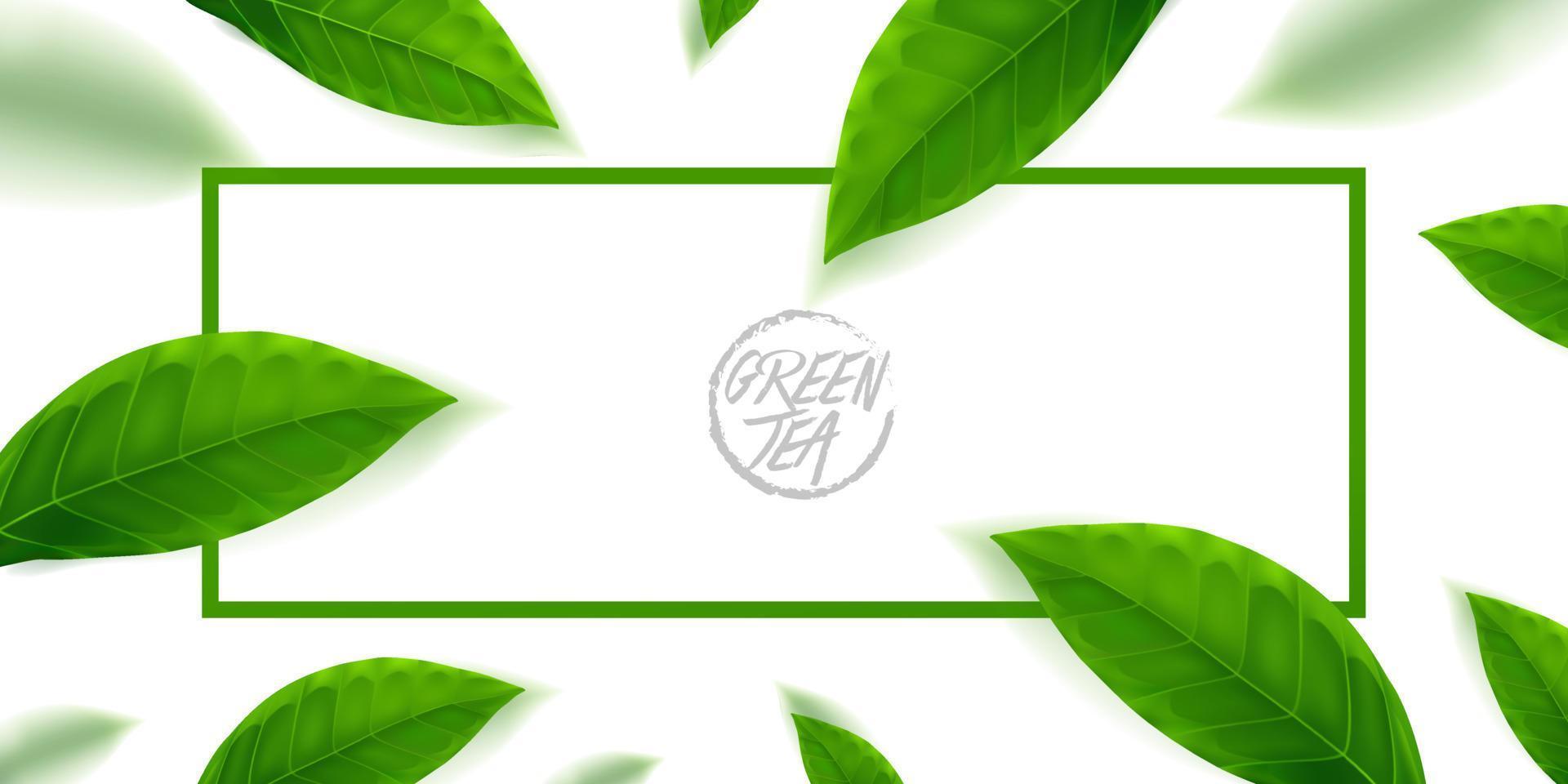 Premium green tea for good health vector illustration.