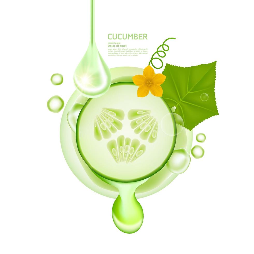 Cucumber serum for skin care product vector illustration