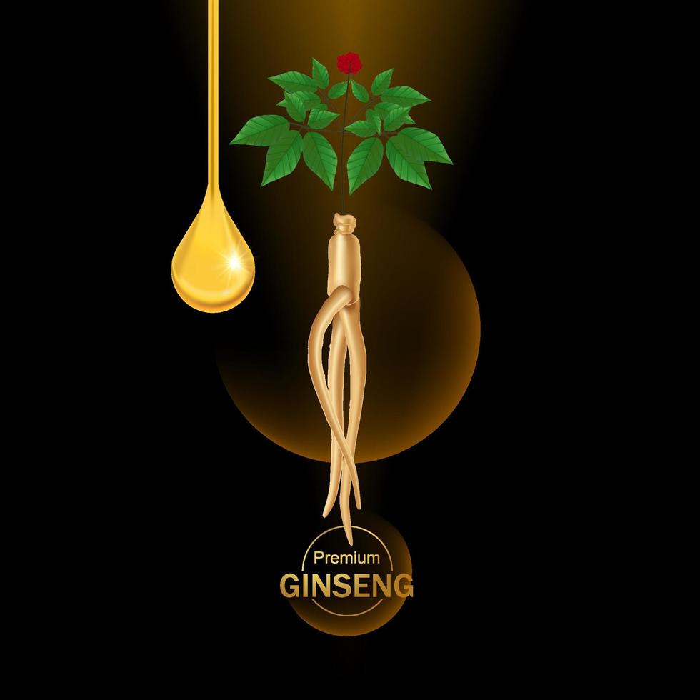 Premium ginseng vector illustration