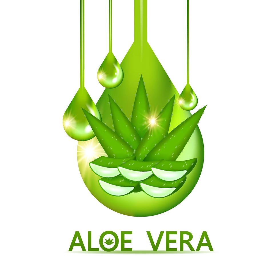 aloe vera collagen and serum for skin care cosmetic vector