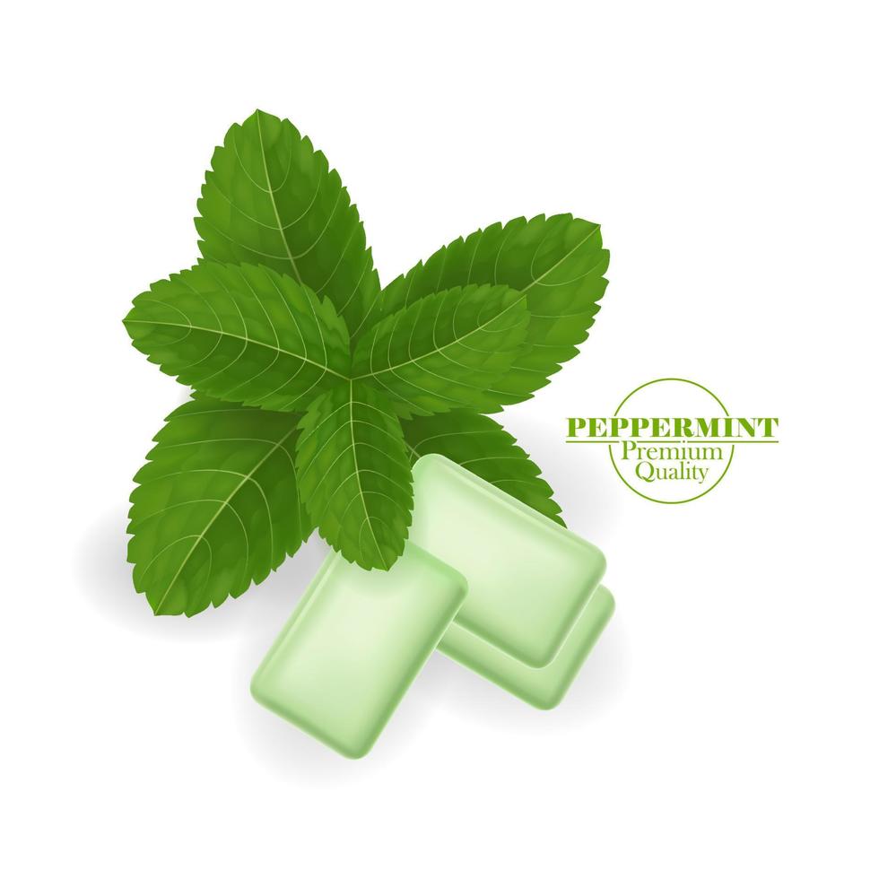 Dental care with peppermint leaf vector