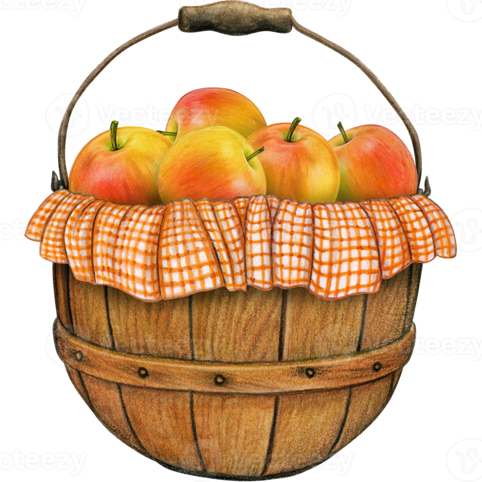 waterverf hand- getrokken realistisch appels png