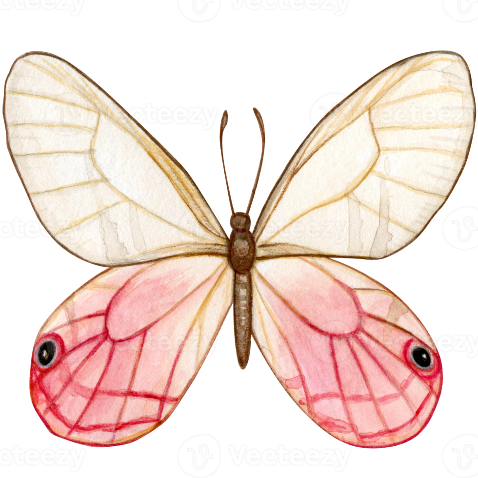 waterverf hand- getrokken vlinder png