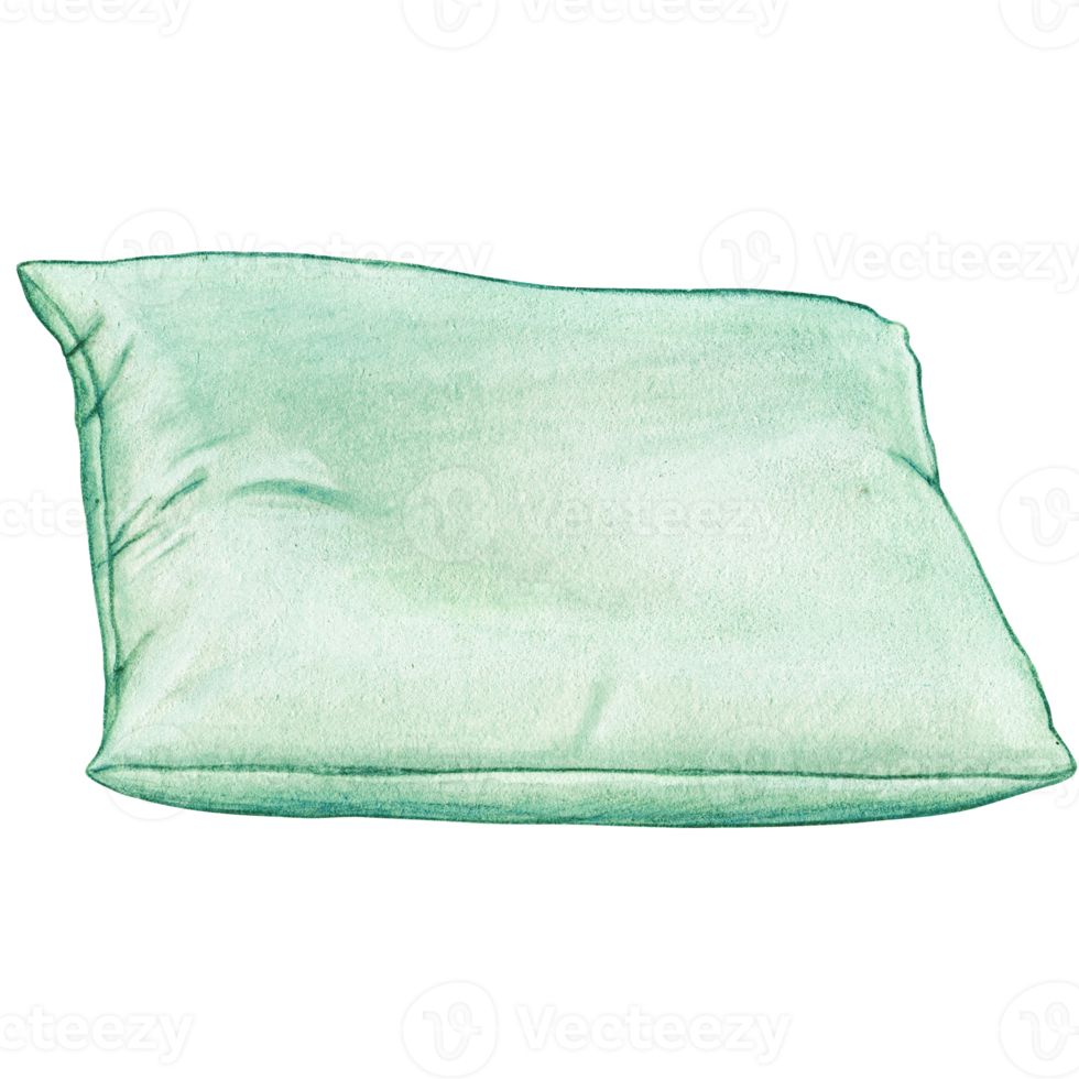 watercolor hand drawn cushion png