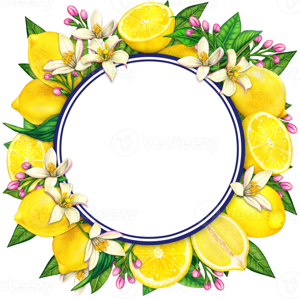 Watercolor mediterranean lemon frame png