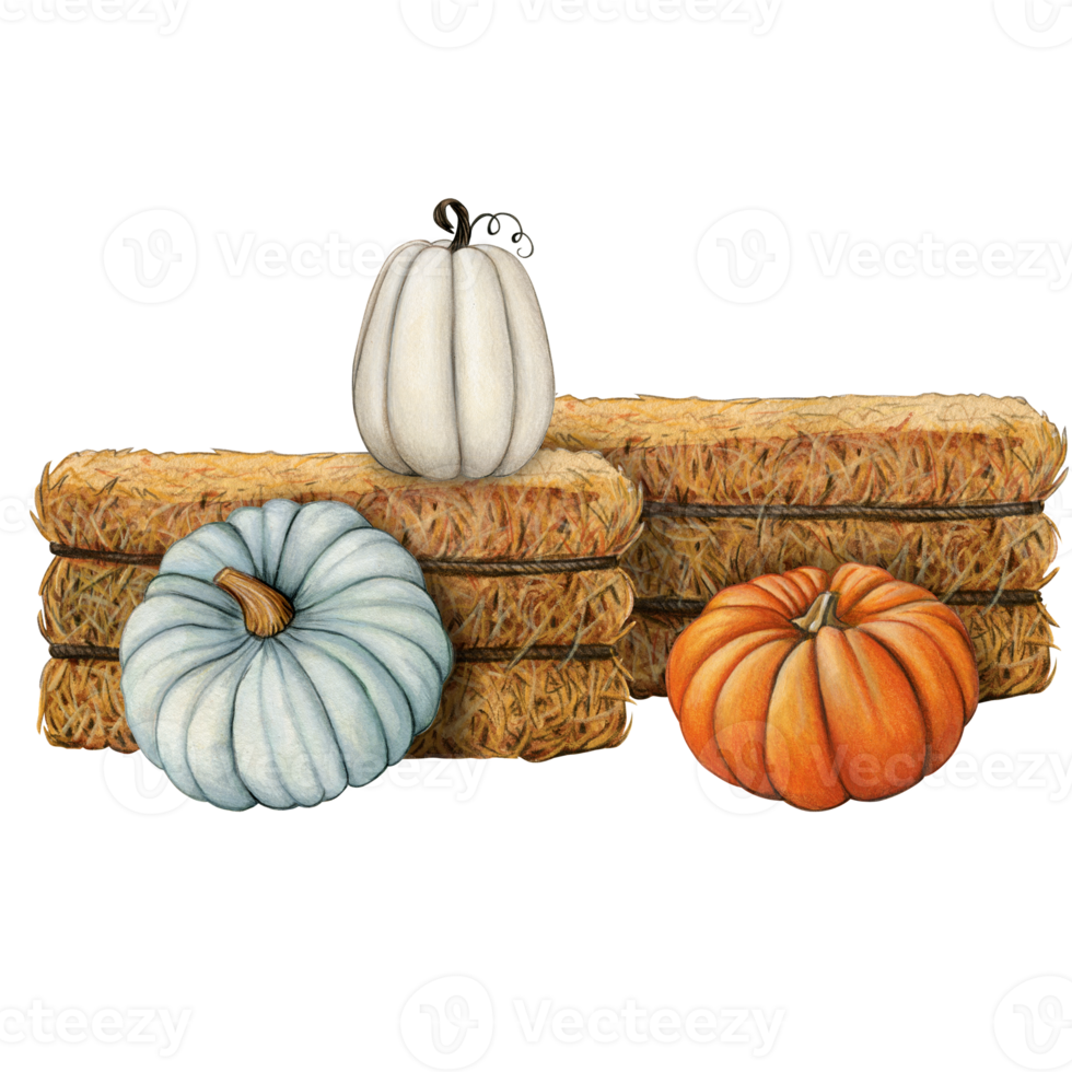 watercolor hand drawn hay bales with pumpkins png