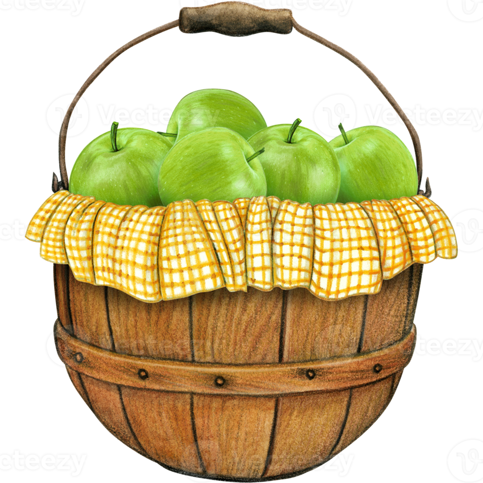 watercolor hand drawn realistic apples png