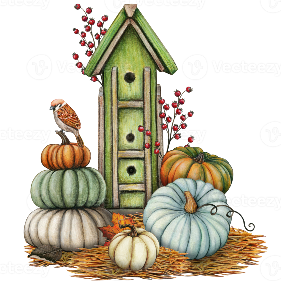 Watercolor birdhouse surrounded by pumpkins png