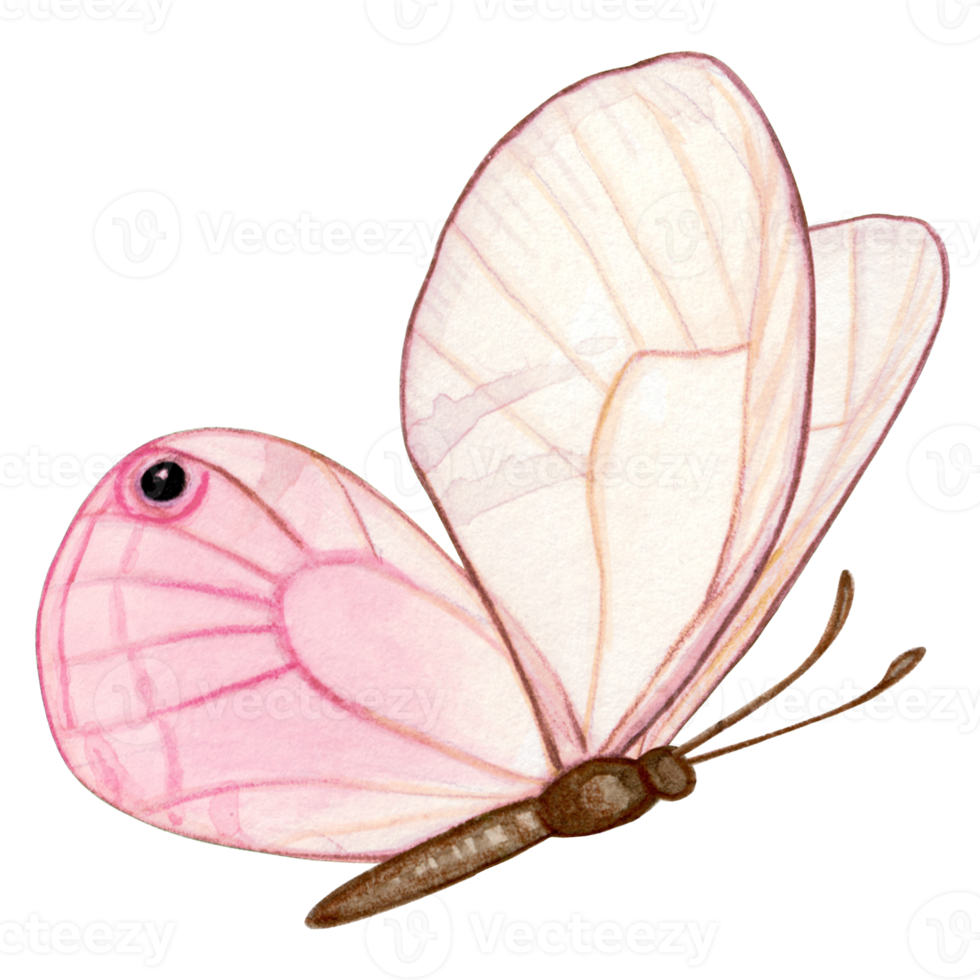 waterverf hand- getrokken vlinder png