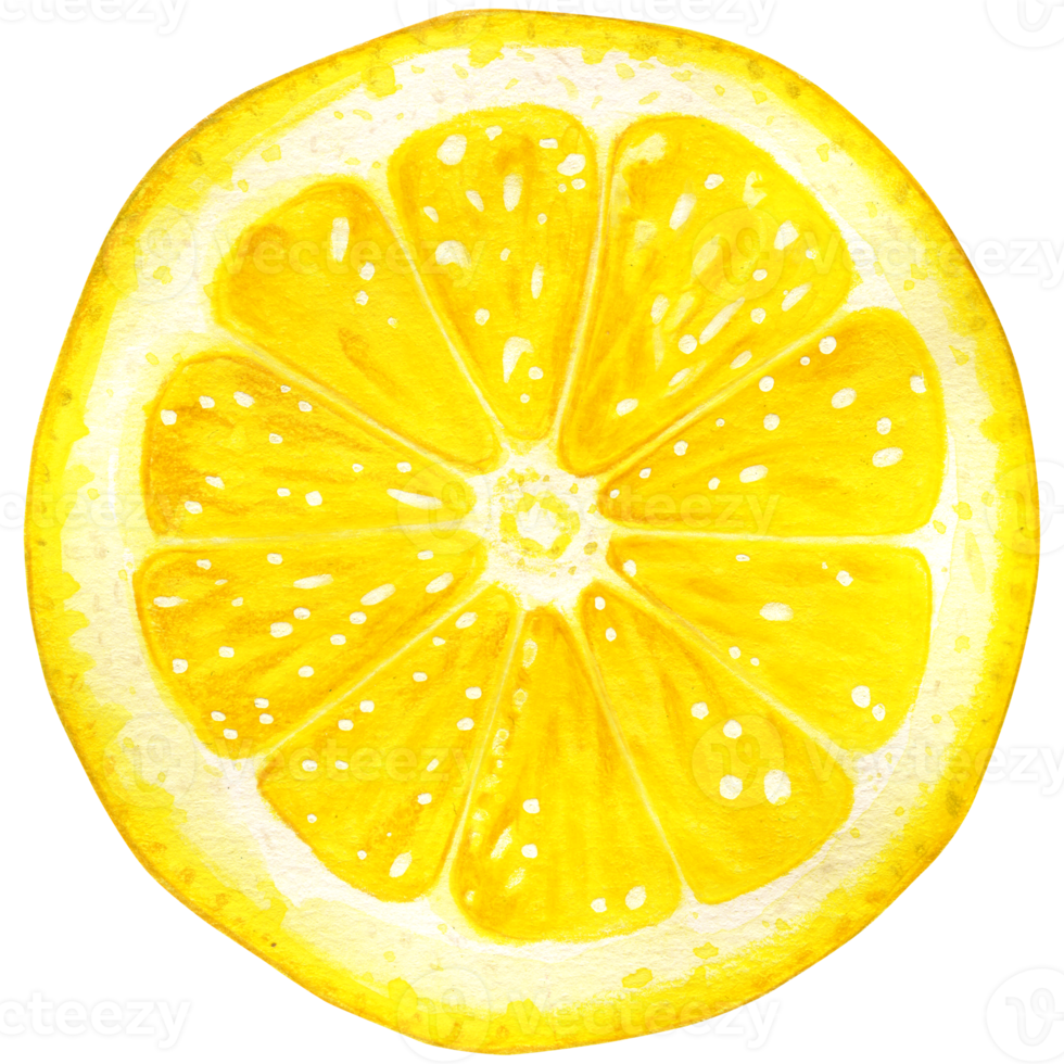 Watercolor lemon illustration isolated png