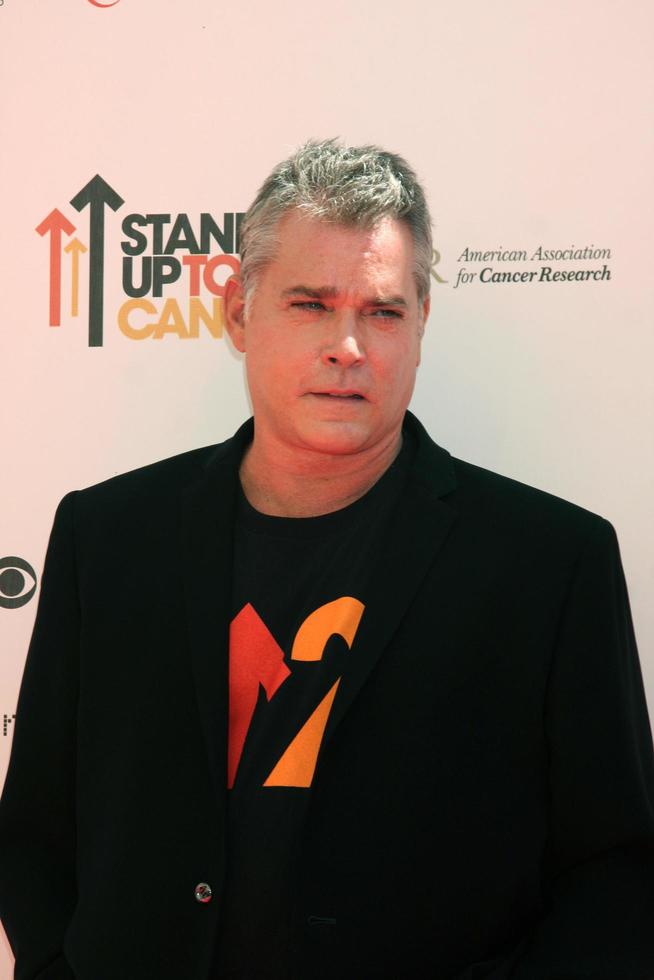 LOS ANGELES  SEP 10  Ray Liotta arrives at the Stand Up 2 Cancer 2010 Event at Sony Studios on September 10 2010 in Culver City CA photo