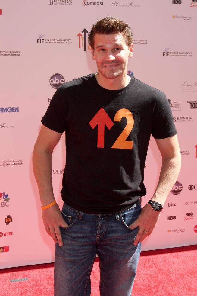 LOS ANGELES  SEP 10  David Boreanaz arrives at the Stand Up 2 Cancer 2010 Event at Sony Studios on September 10 2010 in Culver City CA photo