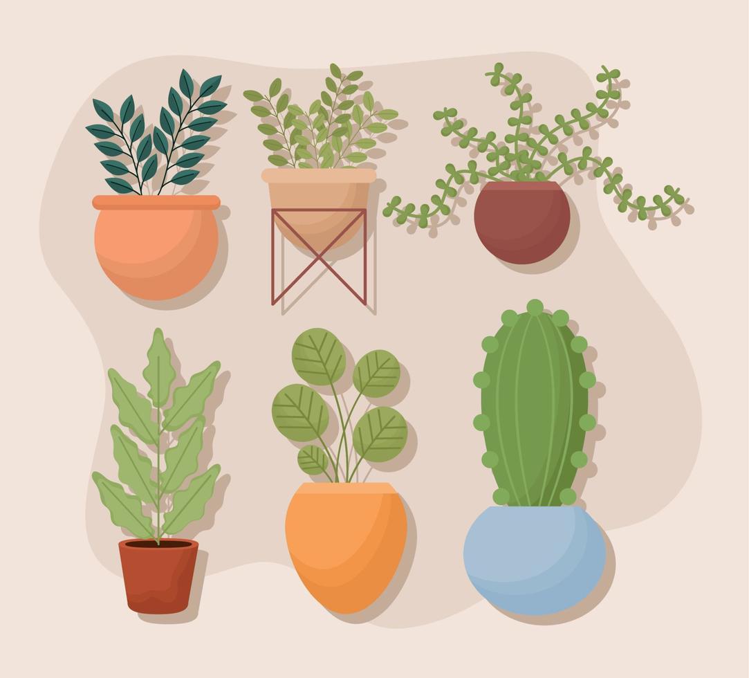 potted plants set vector