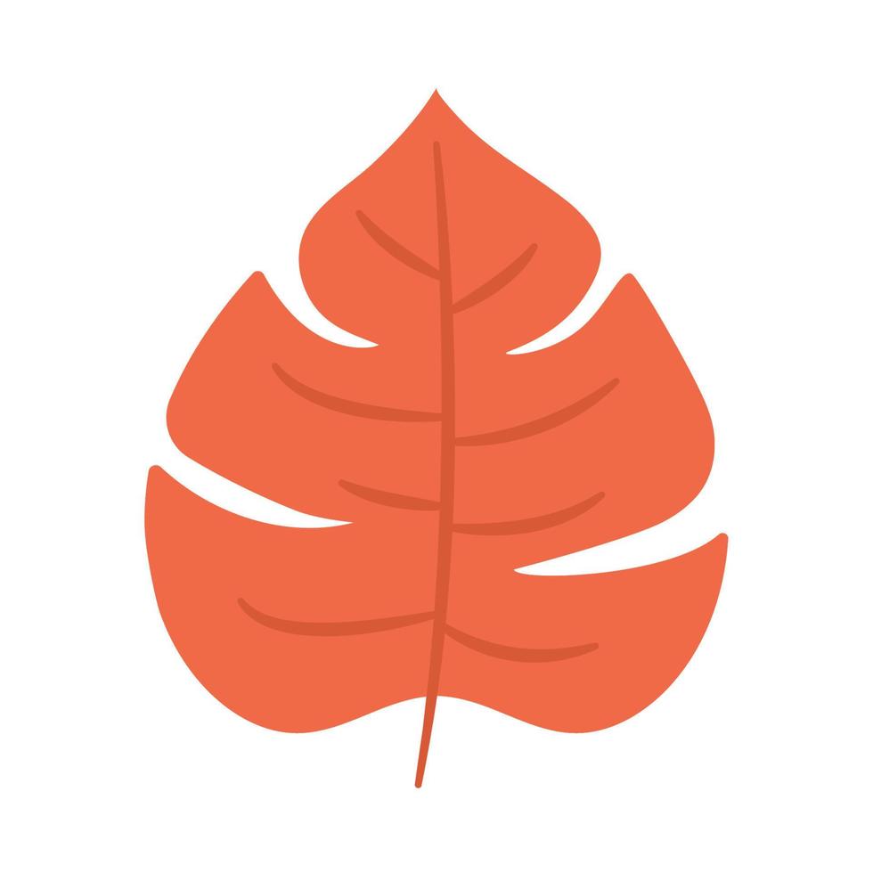 red leaf illustration vector