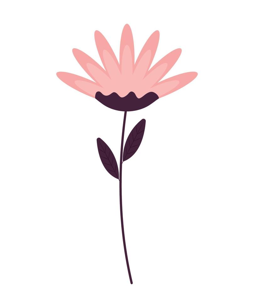 pink flower design vector