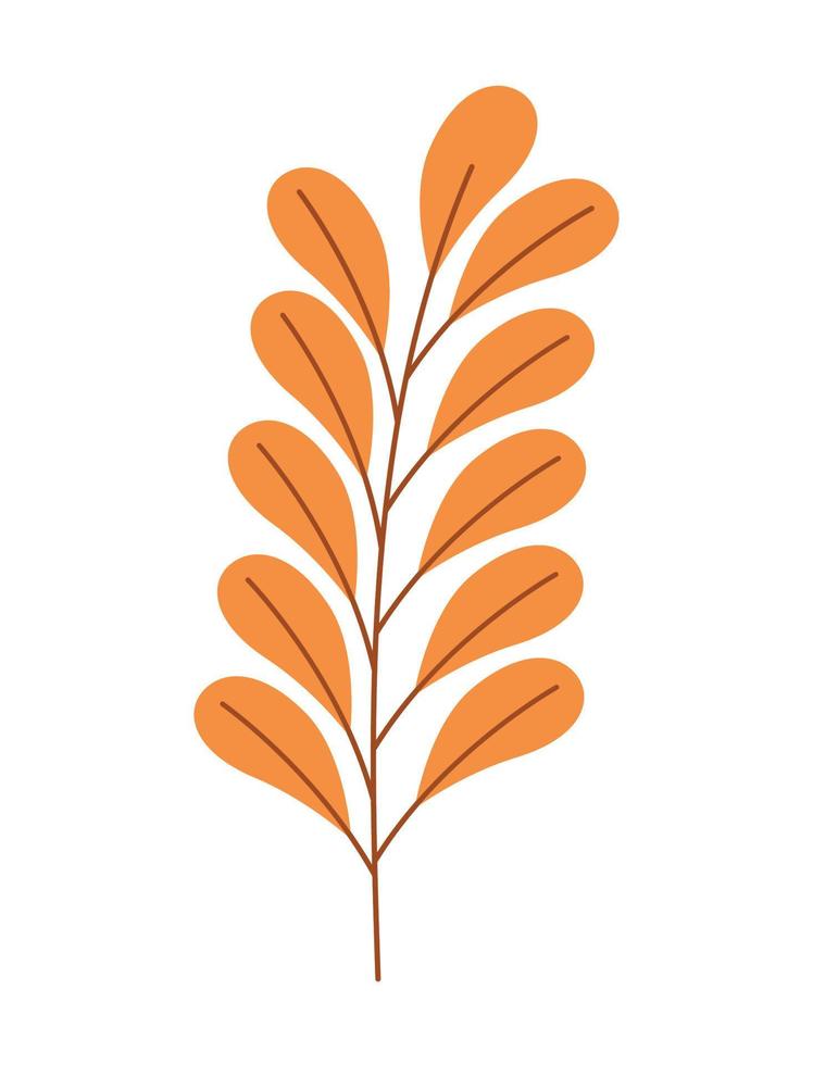 orange branch design vector