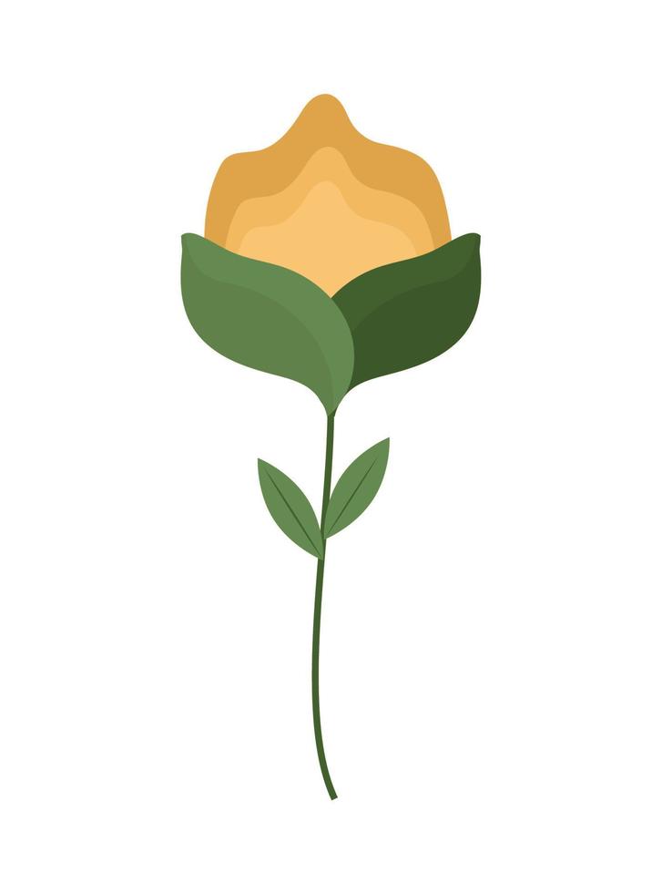 yellow flower design vector