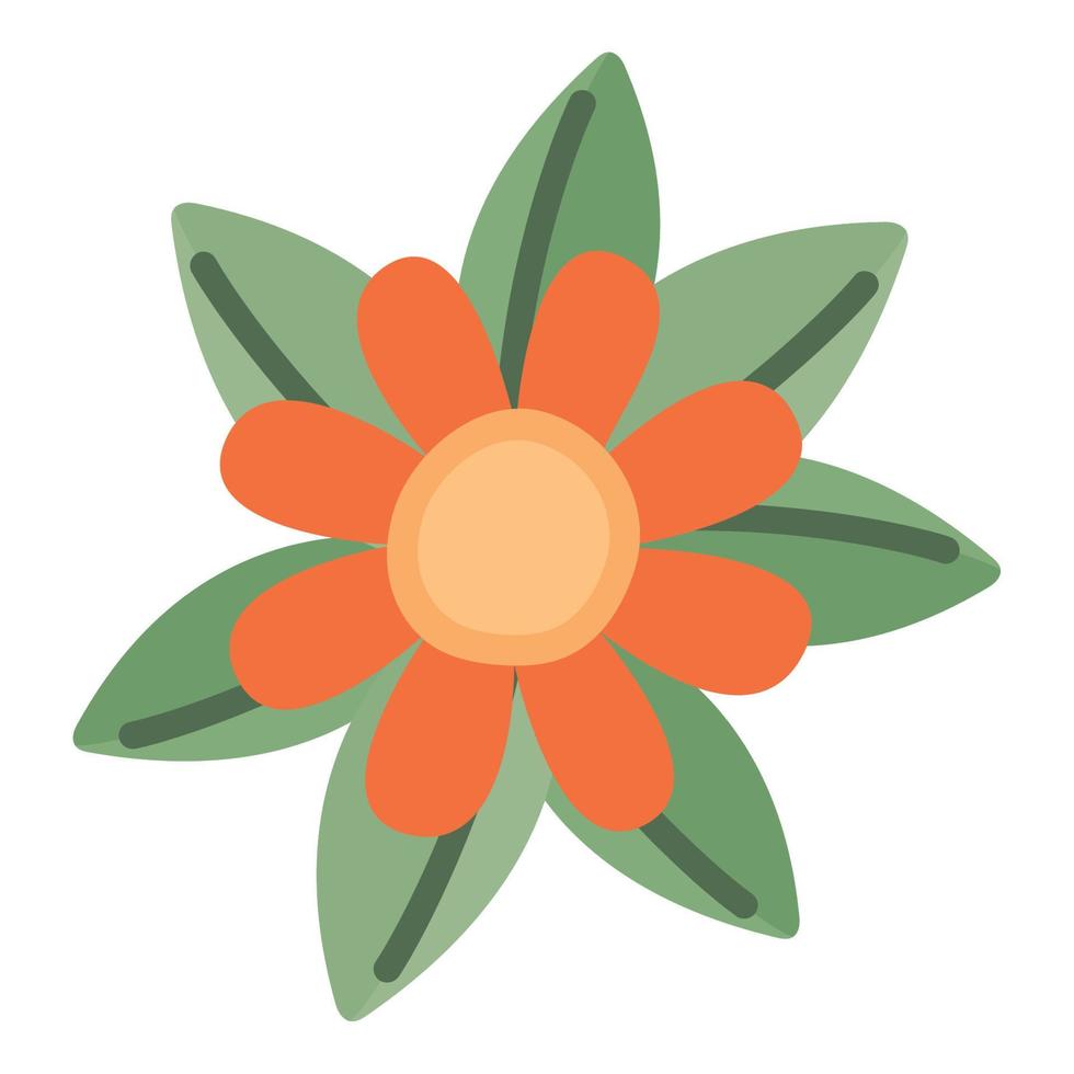 orange flower illustration vector