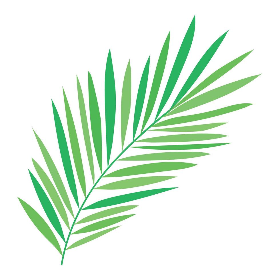 ilustración de rama verde vector
