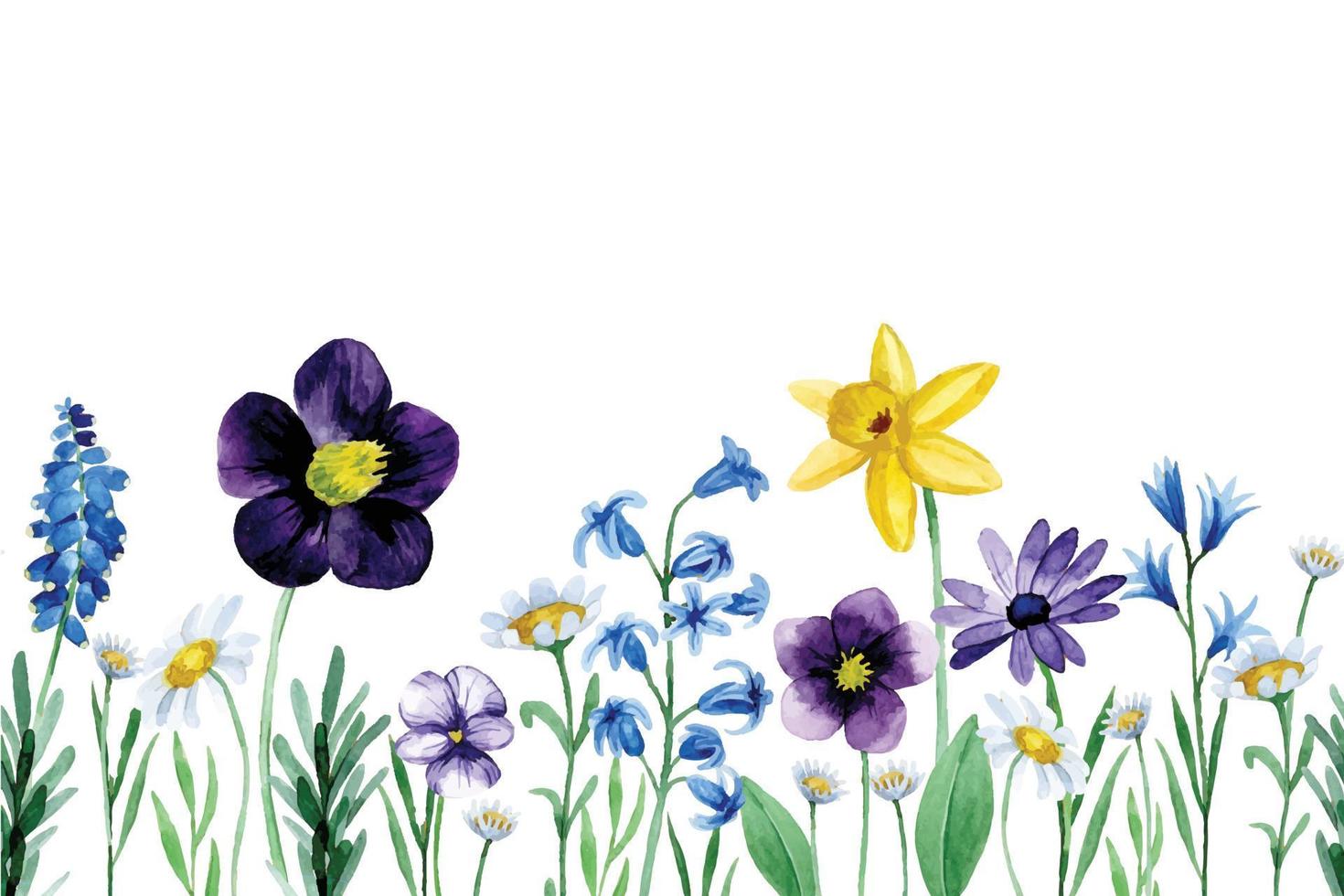 watercolor drawing with cute wildflowers. seamless border, spring flowers vector