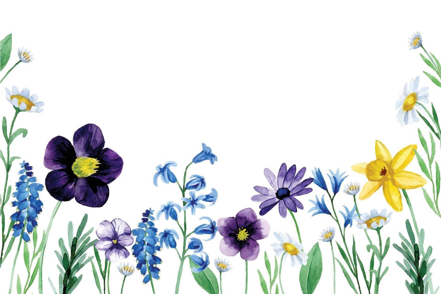 watercolor drawing with cute wildflowers. seamless border, spring flowers vector