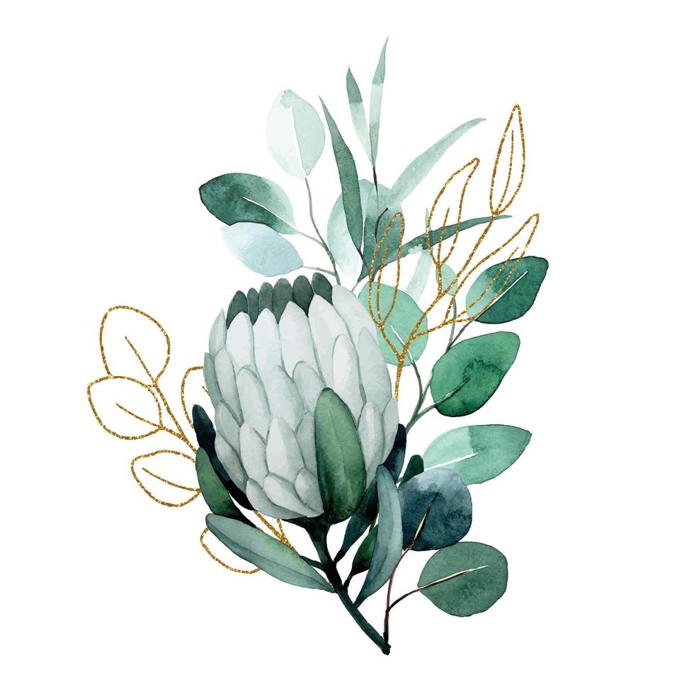 watercolor drawing. bouquet, composition of tropical protea flowers and eucalyptus leaves with golden elements. vector