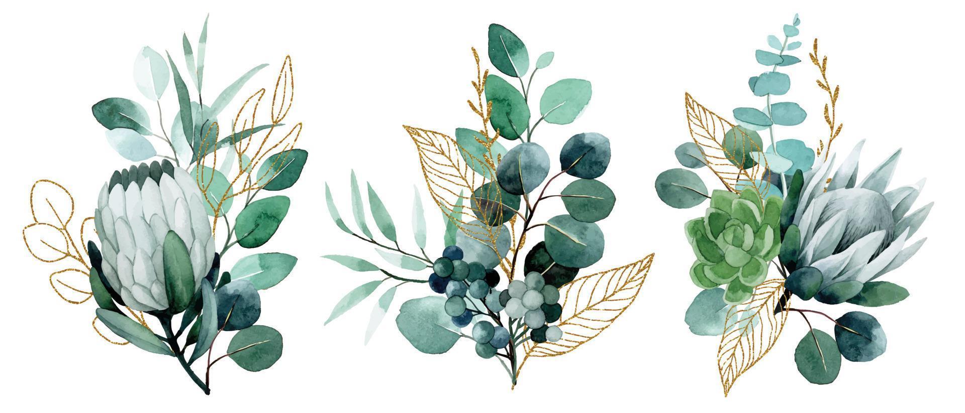 watercolor drawing. bouquet, composition of tropical eucalyptus leaves with golden elements. vector