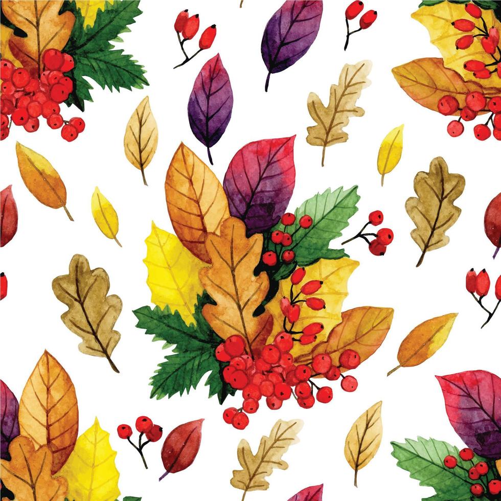 watercolor drawing. seamless pattern with autumn dry leaves and berries. yellow and red leaves, autumn bouquet vector