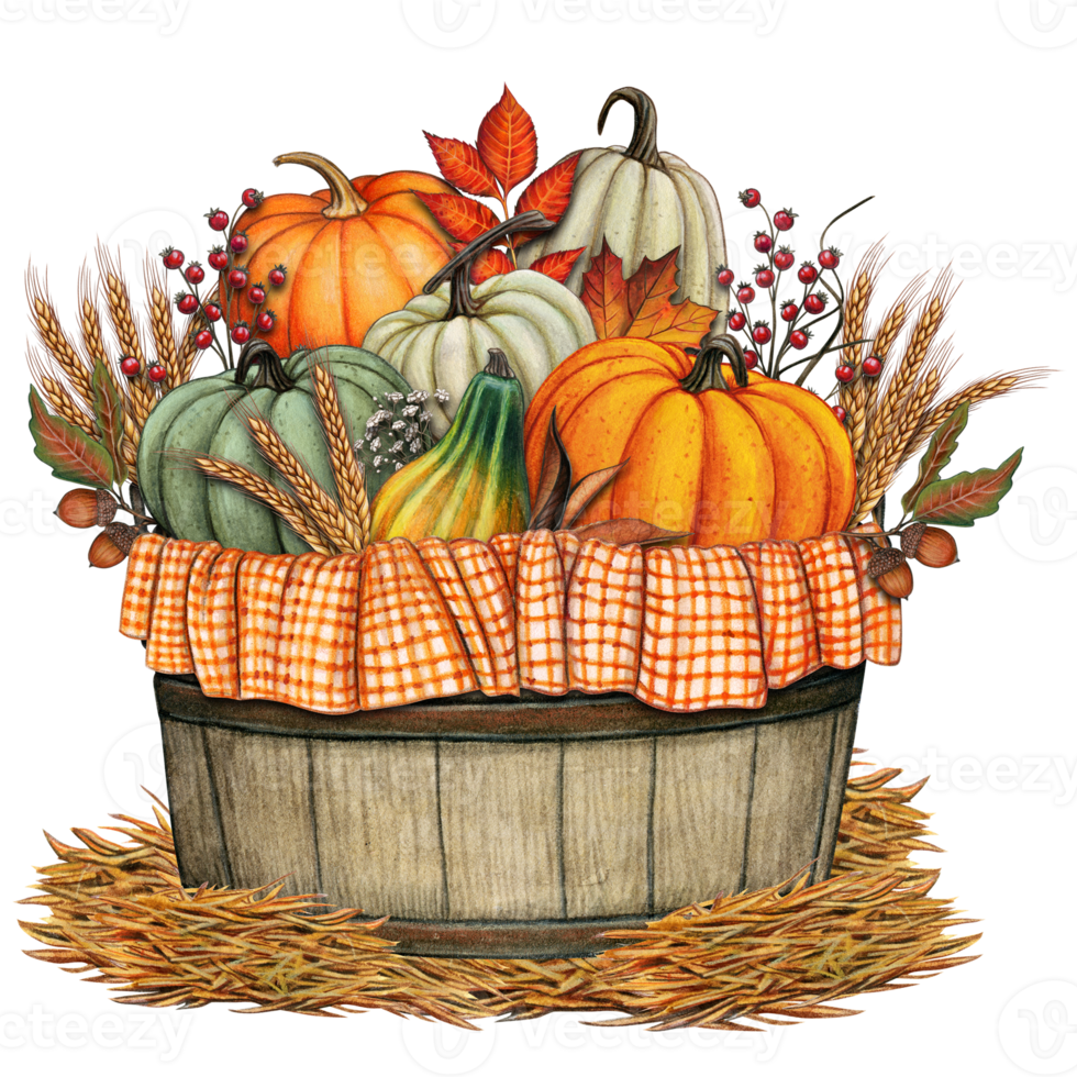 Watercolor harvest pumpkin basket decoration png