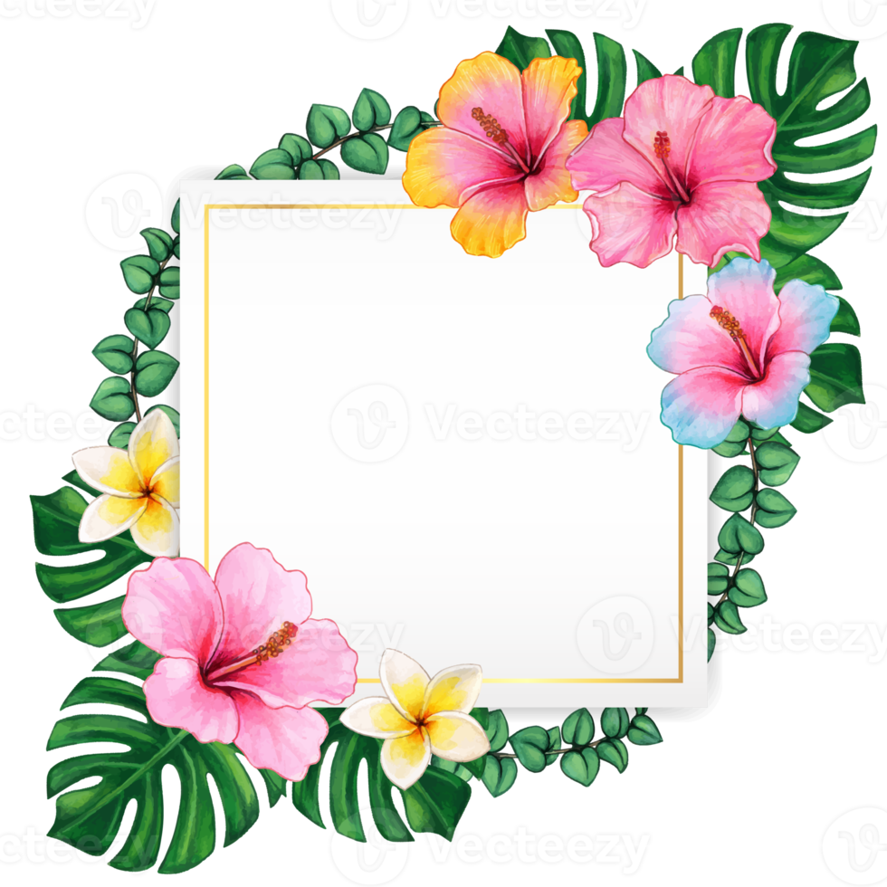 acuarela tropical verano marco png