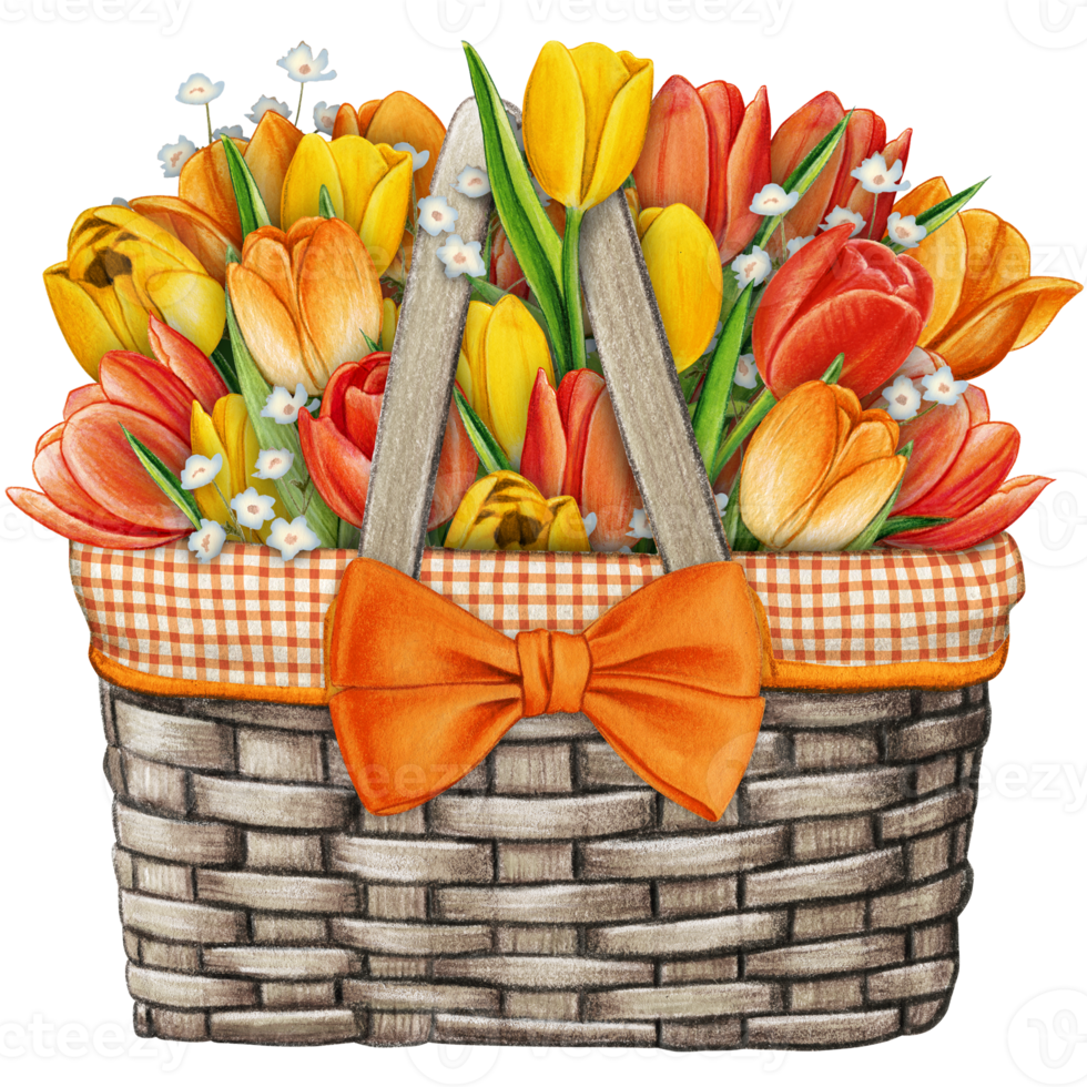 waterverf mand met bloemen boeket png