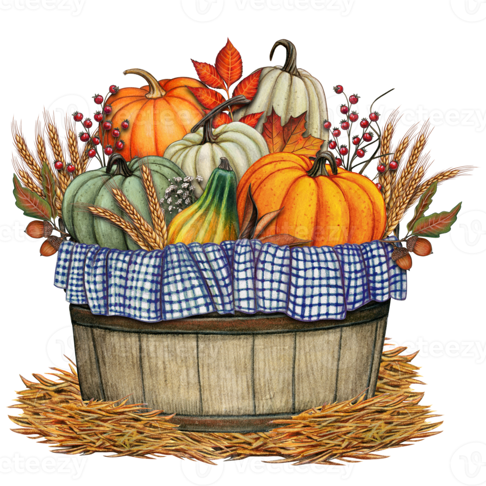 Watercolor harvest pumpkin basket decoration png