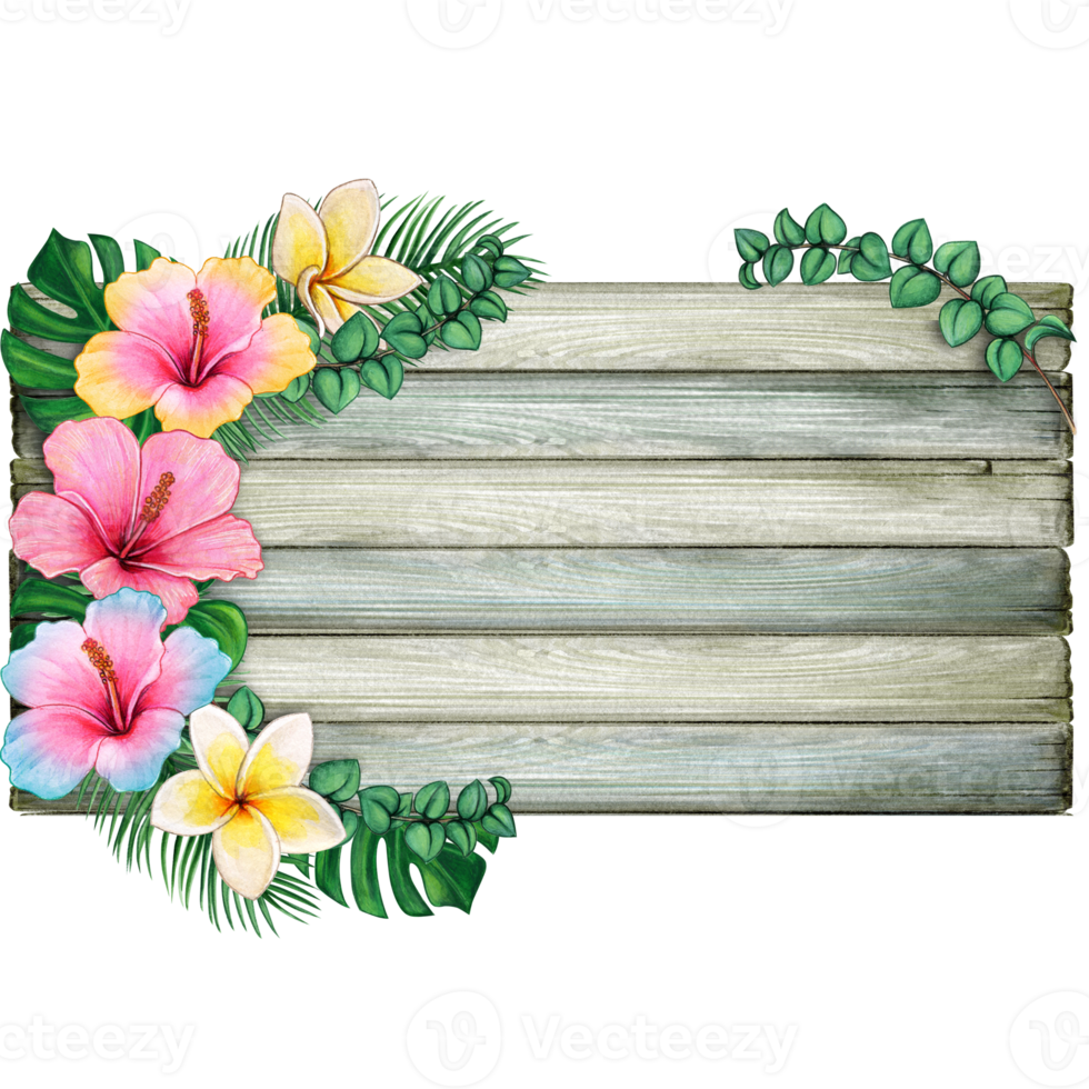 watercolor tropical summer frame png