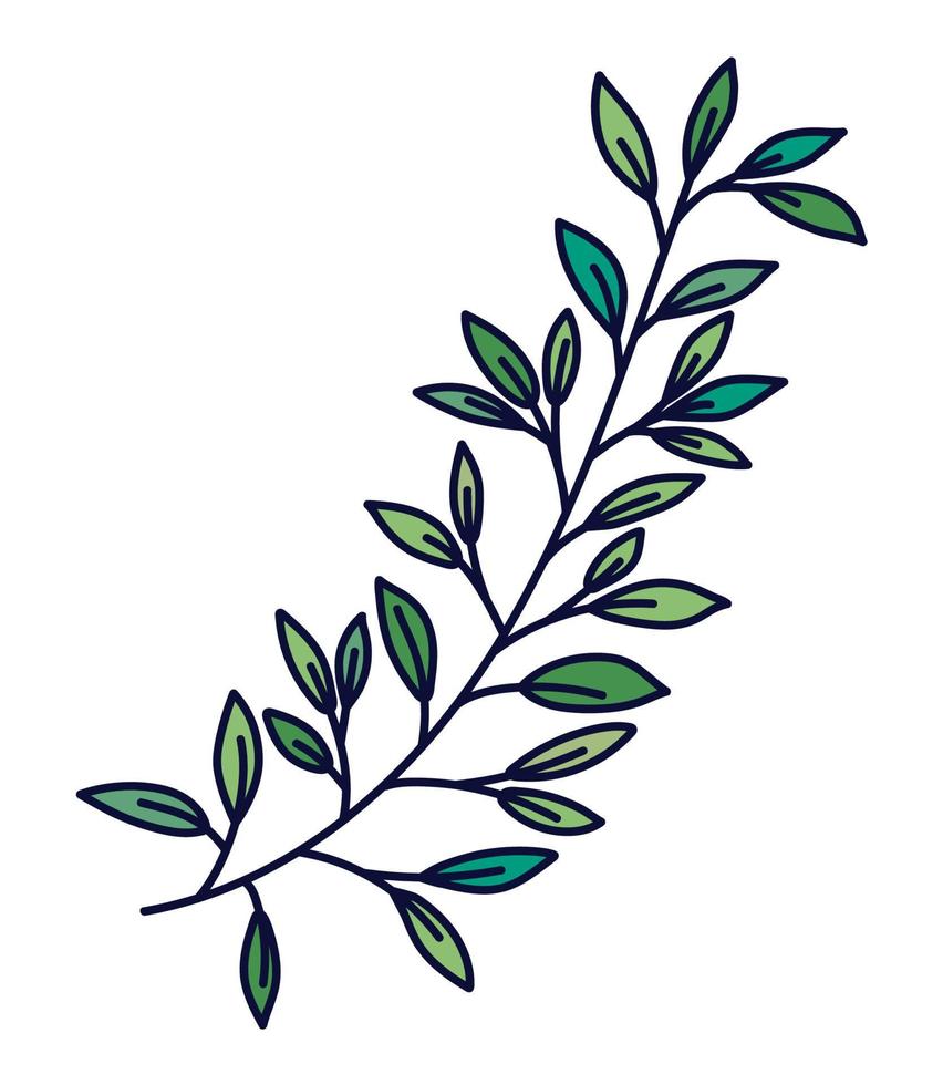 long olive branch vector