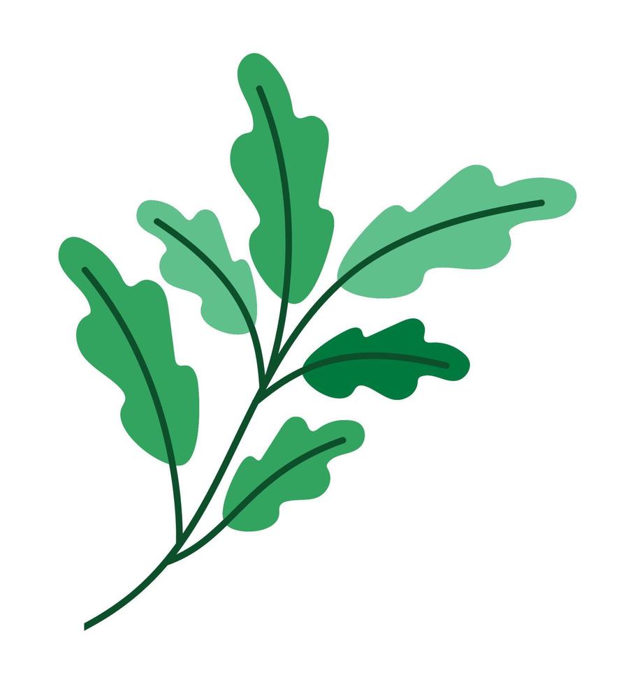 rama árbol diseño vector