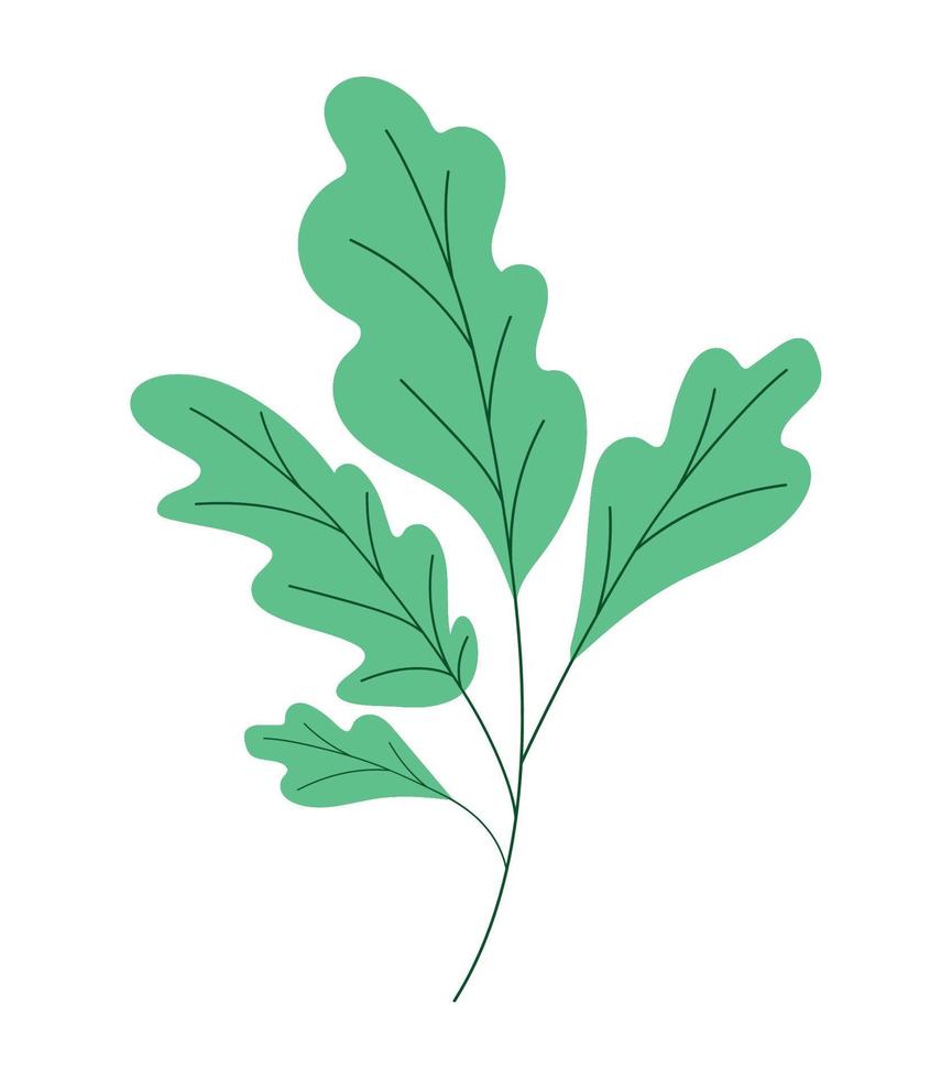 colorful branch tree vector